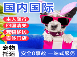 昭苏天马空运国际宠物托运 【国