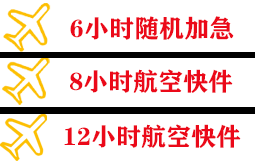 昭苏天马空运快递公司,专业空运当天件